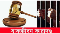 চাঁপাইনবাবগঞ্জে সহোদর হত্যার দায়ে বড়ভাইয়ের যাবজ্জীবন 