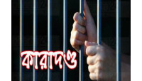 চাঁপাইনবাবগঞ্জে ফেনসিডিল ব্যবসায়ীর ৫ বছর কারাদন্ড