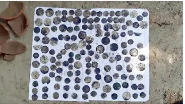 মাটি খুঁড়তে মিলল ব্যাংকভর্তি ধাতব মুদ্রা
