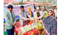 গোমস্তাপুরের আশ্রয়ণ প্রকল্পের  উপকারভোগীদের মধ্যে  সুবাতাস বইছে - জেলা প্রশাসক একেএম গালিভ খাঁন 