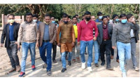আম টিকিয়ে  রাখতে বঙ্গবন্ধু লাইভ ম্যাংগো মিউজিয়াম অনন্য উদাহরণ : সৈয়দ নূরুল ইসলাম