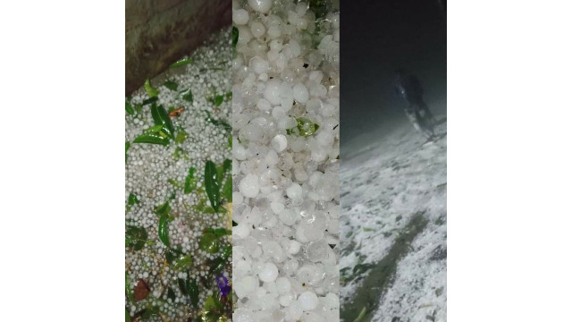 চাঁপাইনবাবগঞ্জে পৌষ মাসের শীতকালে ব্যাপক বৃষ্টি ঝড় ও শিলা বৃষ্টি- ফসলের  ক্ষতি