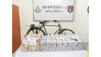  শিবগঞ্জে ভারতীয় পাতার বিড়িসহ ১ জন আটক 