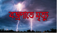 গোবরাতলায় বজ্রপাতে  নারীর মৃত্যু 