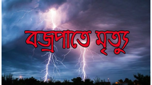 গোবরাতলায় বজ্রপাতে  নারীর মৃত্যু 
