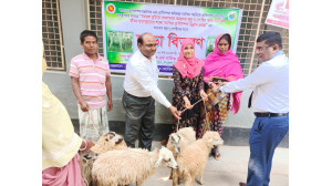 গোমস্তাপুরে দিনভর নানা কর্মসূচিতে ব্যস্ত সময় পার করলেন জেলা প্রশাসক