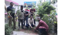 চাঁপাইনবাবগঞ্জ সদর উপজেলা কৃষকলীগের বৃক্ষরোপন ও গাছের চারা বিতরণ 