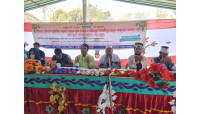 দ্বারিয়াপুরে মাদ্রাসার ছাত্রদের জুব্বা প্রদান ও কবরবাসীর জন্য দোয়া 