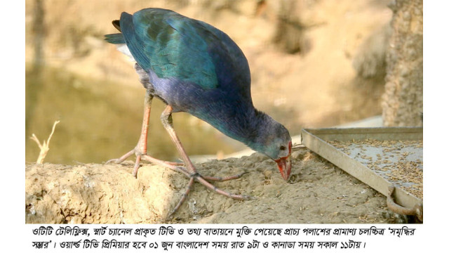 ওটিটিতে মুক্তি পেলো প্রাচ্য পলাশের প্রামাণ্য চলচ্চিত্র ‘সমৃদ্ধির সম্ভার’