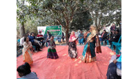  মহান বিজয় দিবস উদযাপন   করেছে স্বাধীনতা সরকারি চাকুরিজীবী জাতীয় পরিষদ 