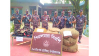 শিবগঞ্জে হেরোইনসহ চোরাচালন পণ্য জব্দ 
