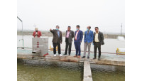 নবাব আই পি আর এস প্রকল্প পরিদর্শন  
