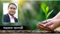 আম পরিবহন হোক নিরাপদ 