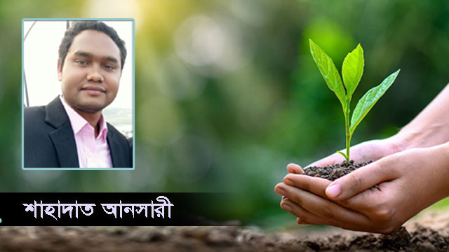 আম পরিবহন হোক নিরাপদ 