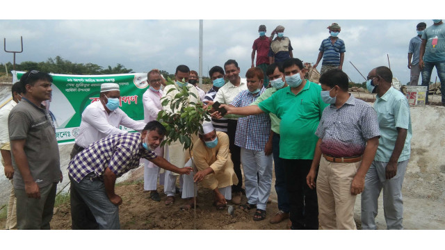 জাতীয়  শোক দিবস উপলক্ষে চাঁপাইনবাবগঞ্জ পৌরসভার বৃক্ষরোপন 