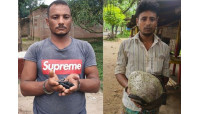  ডিবির অভিযানে ইয়াবা ও গাঁজাসহ আটক ২