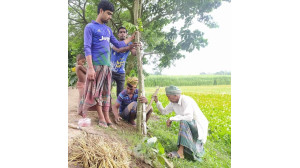৮১- তেও থেমে নেই বৃক্ষ প্রেমিক কার্তিক প্রামাণিক 