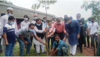 চাঁপাইনবাবগঞ্জে মুজিব বর্ষ উপলক্ষে  মোখলেসুর রহমানের বৃক্ষরোপন