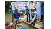  চাঁপাইনবাবগঞ্জে   মৎস্য সপ্তাহের উদ্বোধন