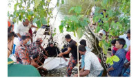 পৌর এলাকার চরমোহনপুরে পানিতে ডুবে একজনের মৃত্যু