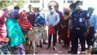 নাচোলে ভিক্ষুকদের পুনর্বাসন  করার লক্ষে  গরু, ভ্যান ও দোকানের সামগ্রী বিতরণ  