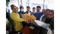  গোবরাতলা ইউনিয়নে বিএনপির প্রার্থী তাসেম আলী