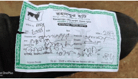 রহনপুরে পশু হাটে অতিরিক্ত খাজনা আদায়ের অভিযোগ