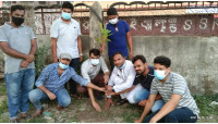 বিশ্ব পরিবেশ দিবসে জেলা ছাত্রলীগের বৃক্ষ রোপণ