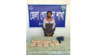 চাঁপাইনবাবগঞ্জে ডিবি পুলিশের অভিযানে ২ কোটি টাকার হেরোইনসহ ১ জন গ্রেপ্তার 
