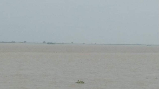 চাঁপাইনবাবগঞ্জে পদ্মা ও মহানন্দায় বাড়ছে পানি