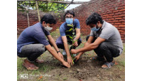 জেলা ছাত্রলীগের সাধারণ সম্পাদক ডা. সাইফ জামানের নেতৃত্বে বৃক্ষরোপন