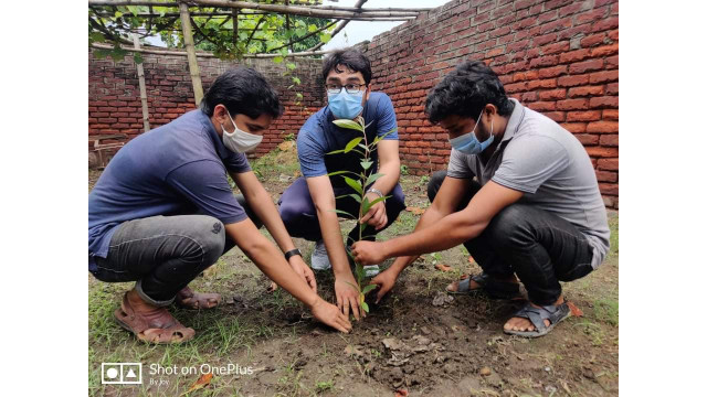 জেলা ছাত্রলীগের সাধারণ সম্পাদক ডা. সাইফ জামানের নেতৃত্বে বৃক্ষরোপন
